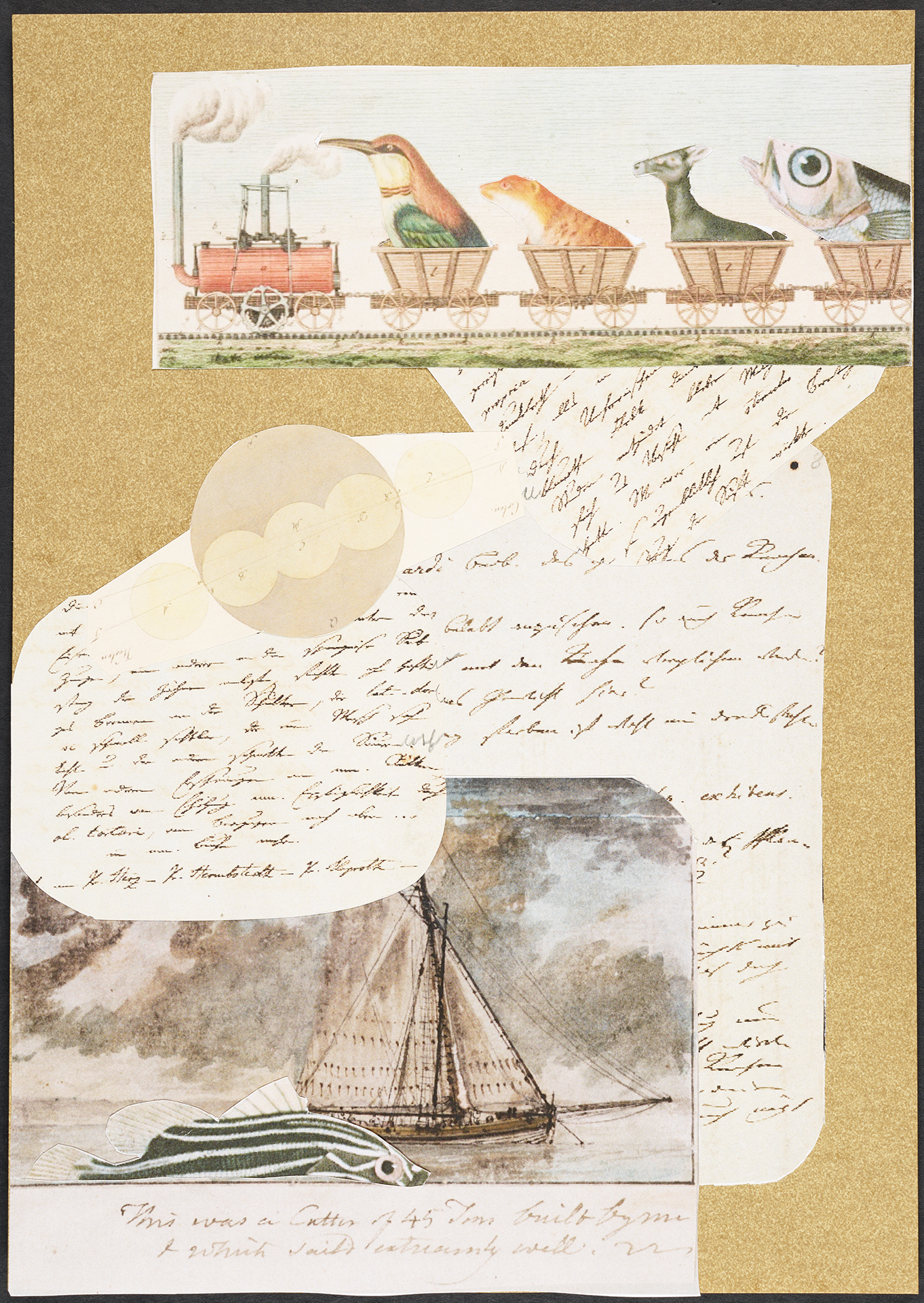 Collage zu Alexander von Humboldt