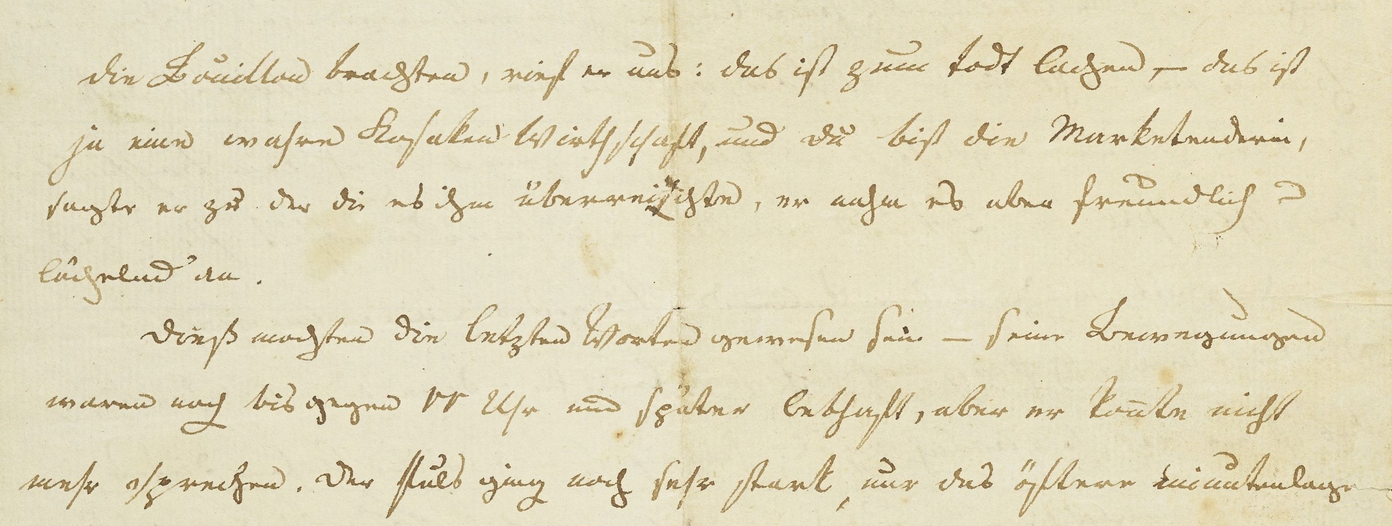 „Die letzten Tage Wielands“. Aufzeichnungen von dessen Enkelin Wilhelmine Schorcht, 1813, S. 6, Detail (GSA 54/263). Foto: Klassik Stiftung Weimar